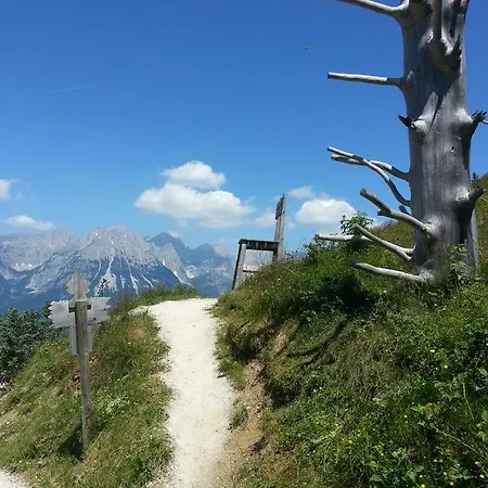 Apartmán Kollerhof *